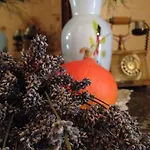 Nora